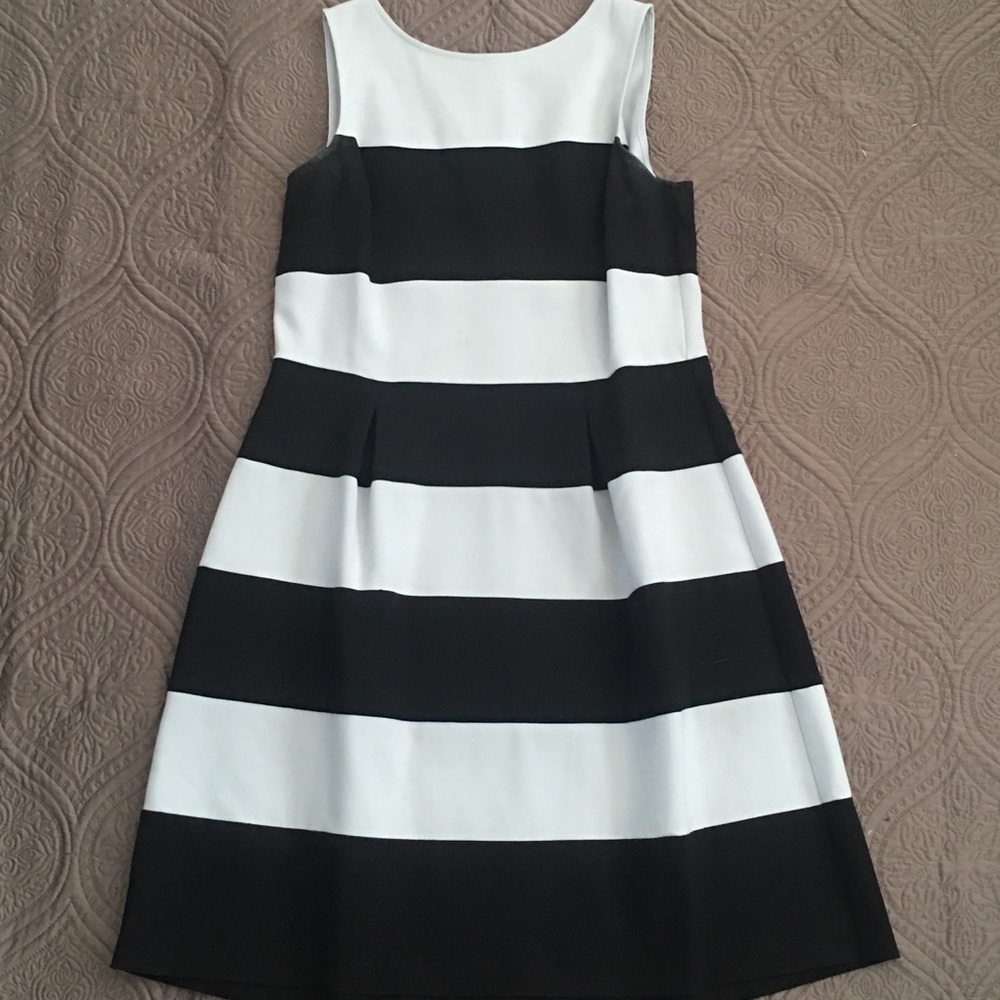 LOFT Navy/Light Blue Cocktail Dress